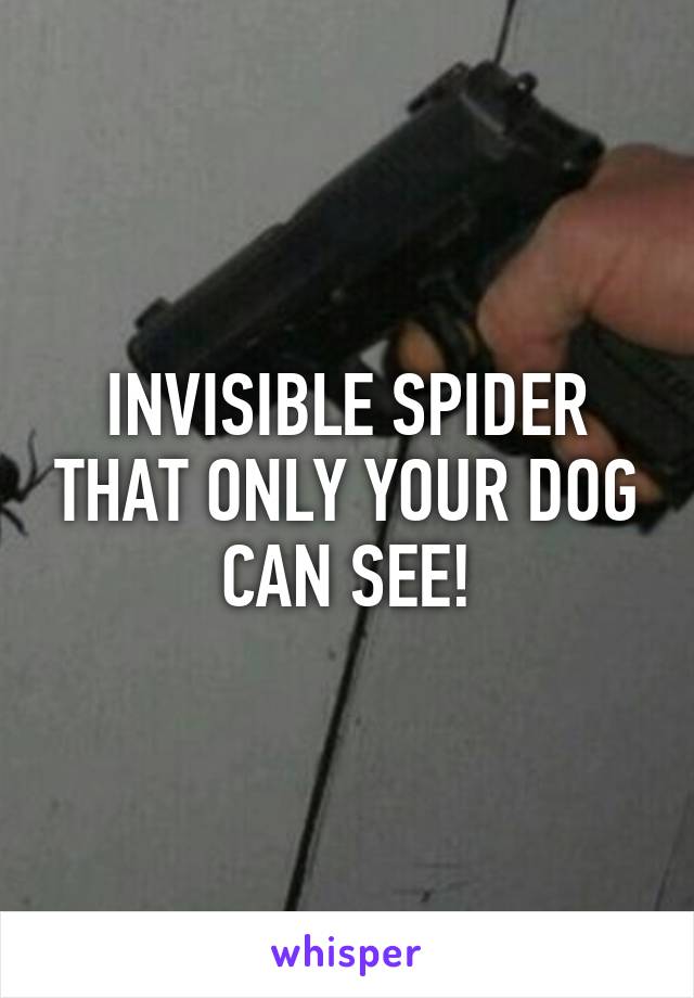 INVISIBLE SPIDER THAT ONLY YOUR DOG CAN SEE!