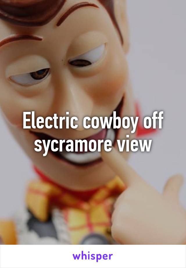 Electric cowboy off sycramore view
