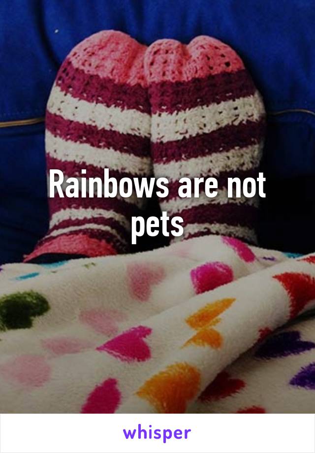 Rainbows are not pets
