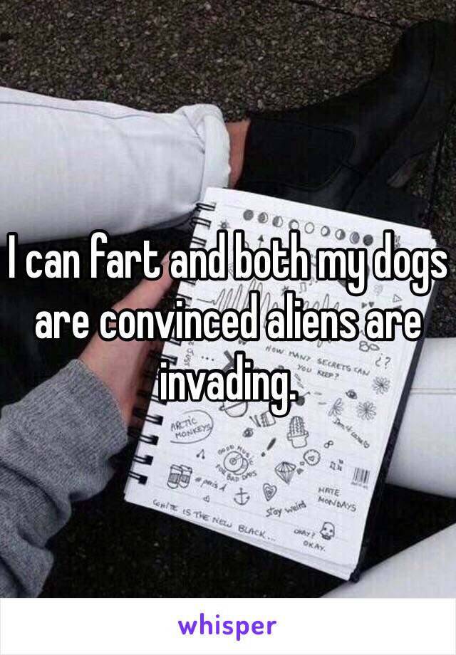 I can fart and both my dogs are convinced aliens are invading.