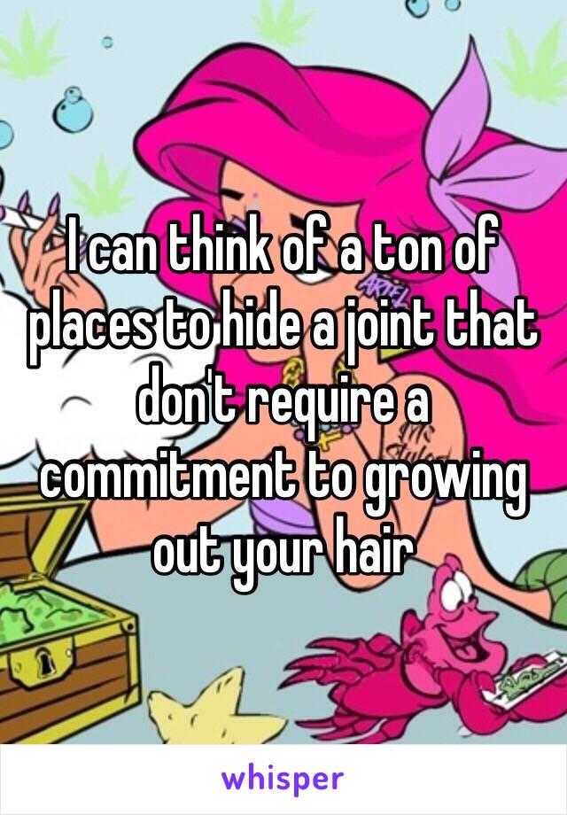 I can think of a ton of places to hide a joint that don't require a commitment to growing out your hair