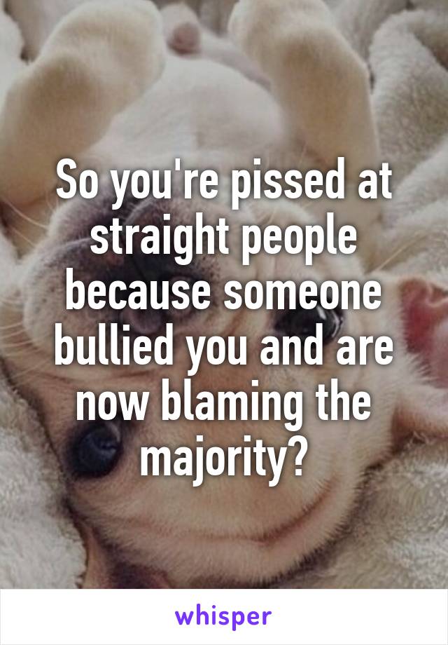 So you're pissed at straight people because someone bullied you and are now blaming the majority?