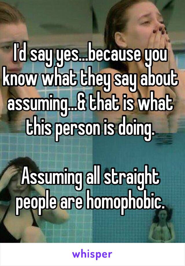 I'd say yes...because you know what they say about assuming...& that is what this person is doing. 

Assuming all straight people are homophobic. 