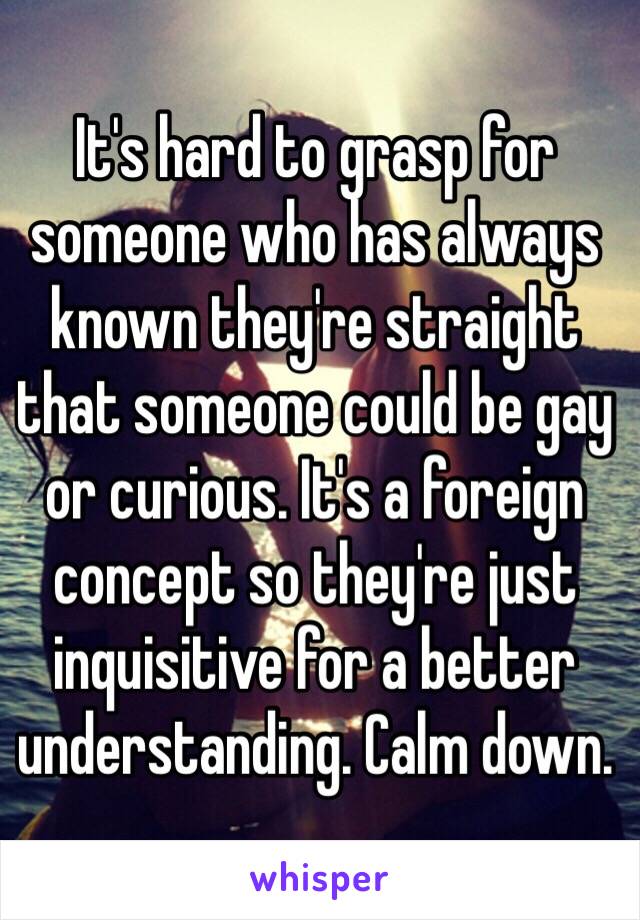 It's hard to grasp for someone who has always known they're straight that someone could be gay or curious. It's a foreign concept so they're just inquisitive for a better understanding. Calm down. 