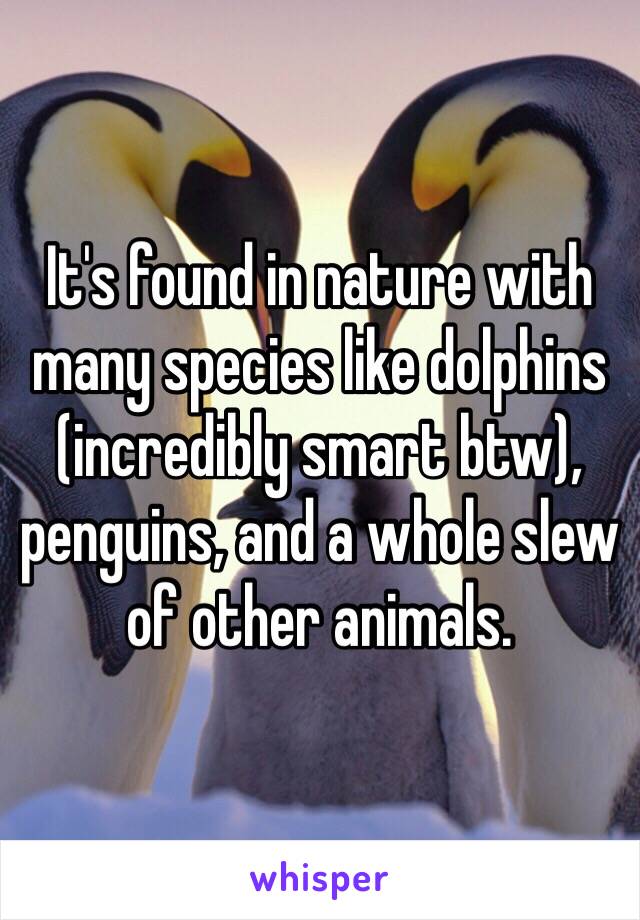 It's found in nature with many species like dolphins (incredibly smart btw), penguins, and a whole slew of other animals.