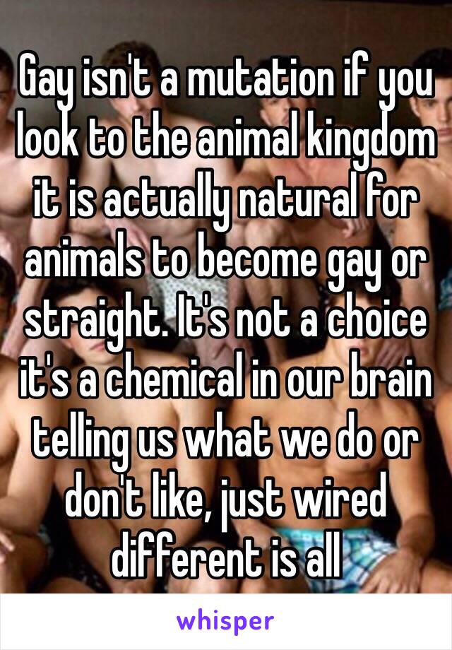 Gay isn't a mutation if you look to the animal kingdom it is actually natural for animals to become gay or straight. It's not a choice it's a chemical in our brain telling us what we do or don't like, just wired different is all