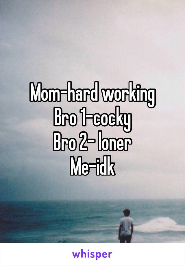 Mom-hard working 
Bro 1-cocky
Bro 2- loner
Me-idk
