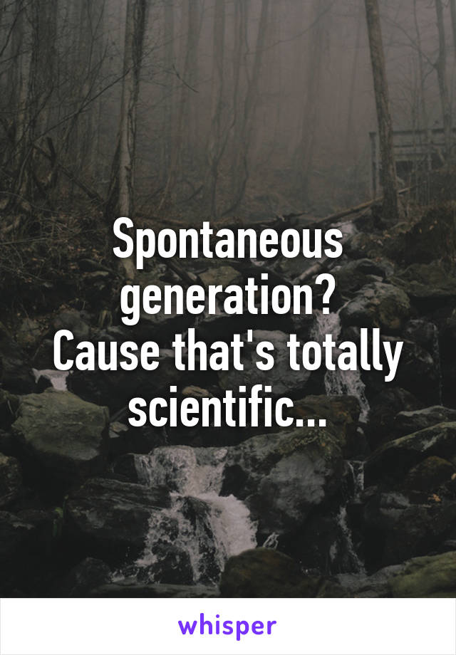 Spontaneous generation?
Cause that's totally scientific...