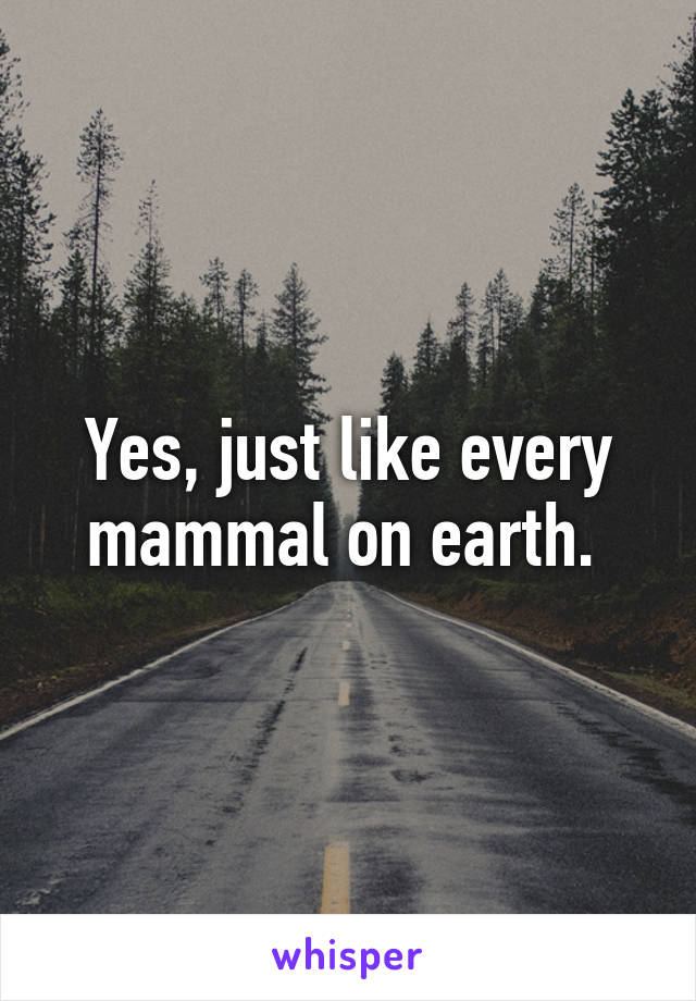Yes, just like every mammal on earth. 