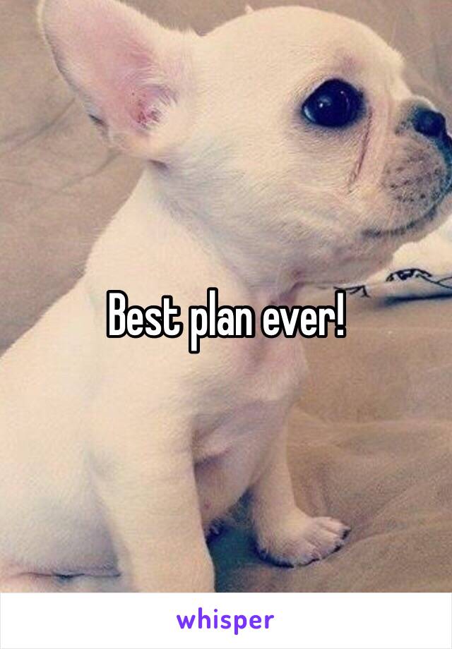 Best plan ever!