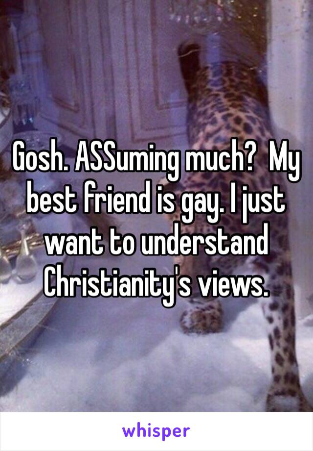 Gosh. ASSuming much?  My best friend is gay. I just want to understand Christianity's views. 