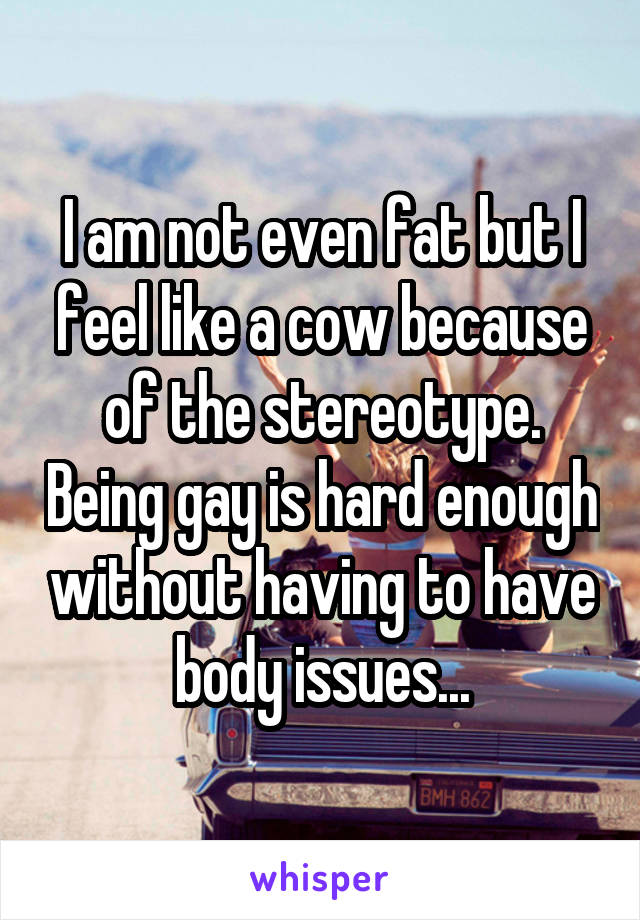 I am not even fat but I feel like a cow because of the stereotype. Being gay is hard enough without having to have body issues...
