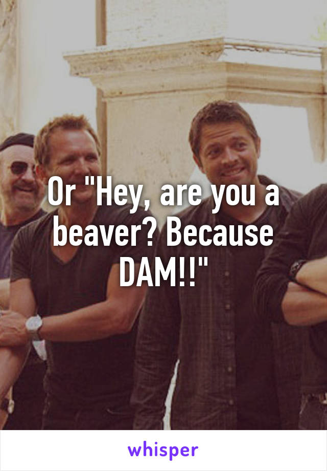 Or "Hey, are you a beaver? Because DAM!!"