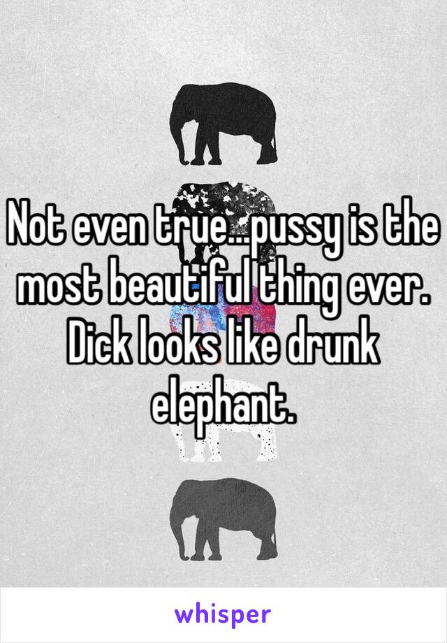 Not even true...pussy is the most beautiful thing ever. Dick looks like drunk elephant.