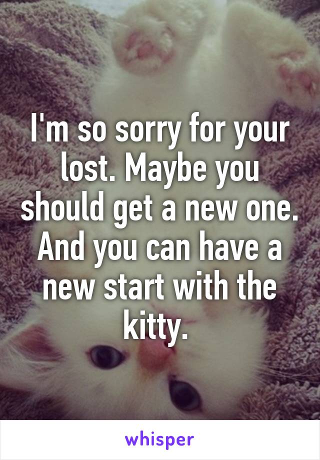 I'm so sorry for your lost. Maybe you should get a new one. And you can have a new start with the kitty. 