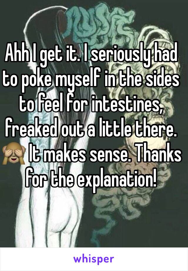 Ahh I get it. I seriously had to poke myself in the sides to feel for intestines, freaked out a little there. 🙈 It makes sense. Thanks for the explanation!