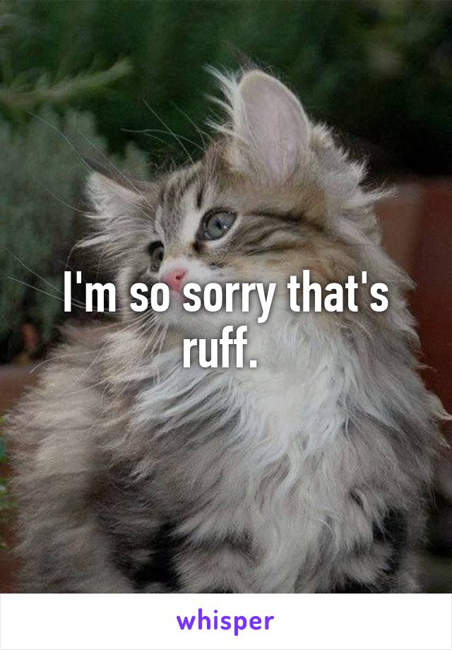 I'm so sorry that's ruff. 