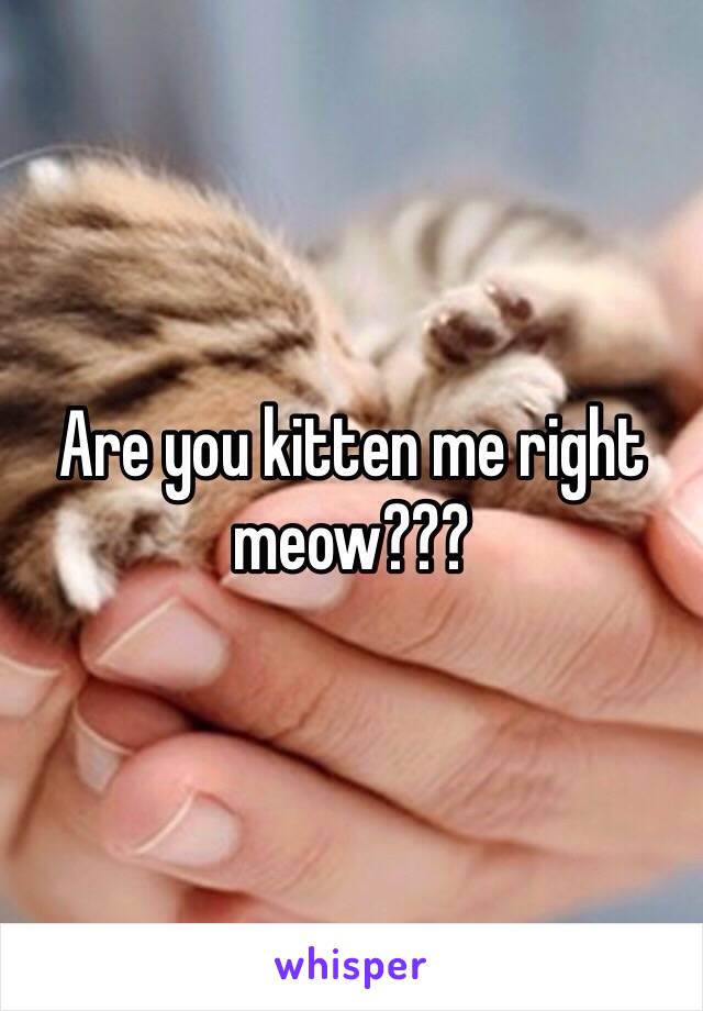 Are you kitten me right meow???