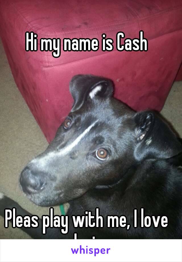 Hi my name is Cash






Pleas play with me, I love playing