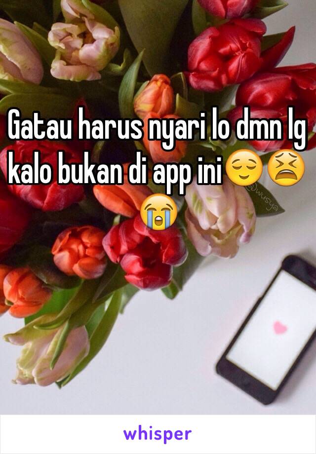 Gatau harus nyari lo dmn lg kalo bukan di app ini😌😫😭