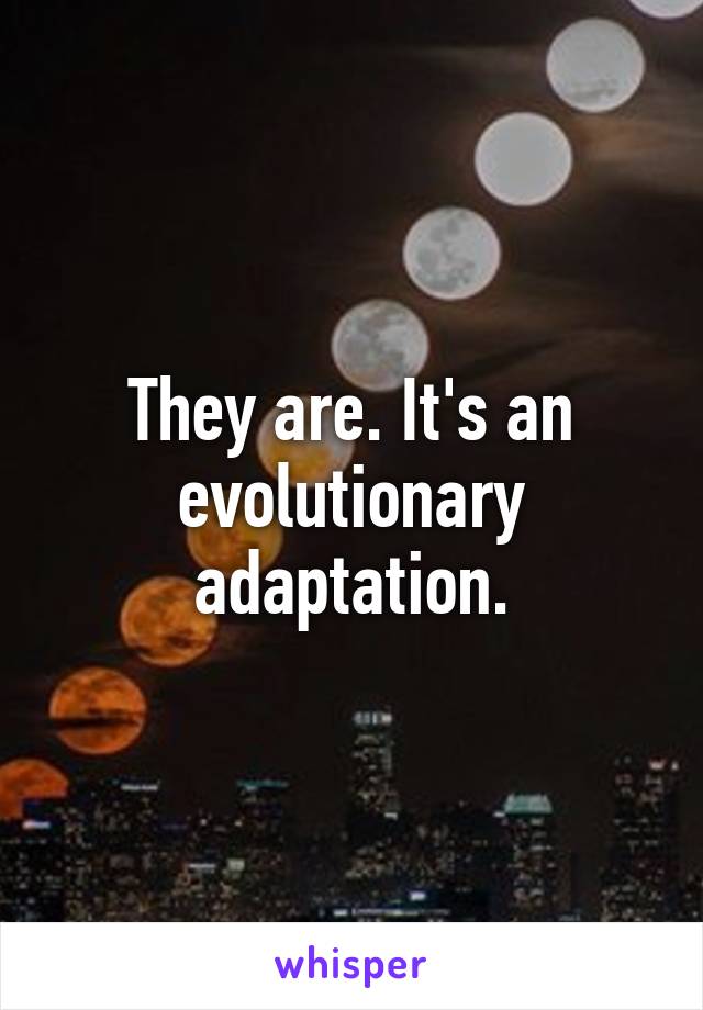 They are. It's an evolutionary adaptation.