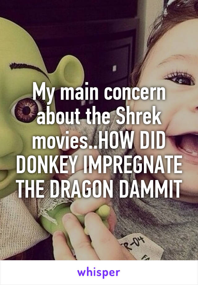 My main concern about the Shrek movies..HOW DID DONKEY IMPREGNATE THE DRAGON DAMMIT