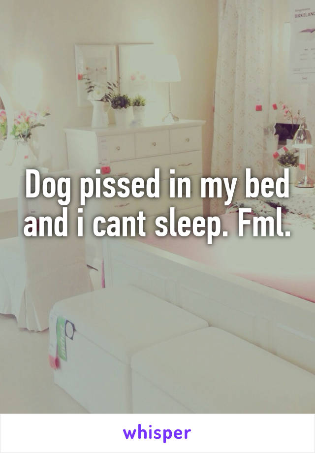 Dog pissed in my bed and i cant sleep. Fml. 