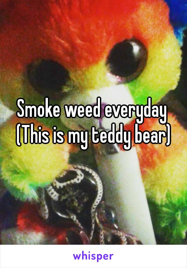 Smoke weed everyday 
(This is my teddy bear)
