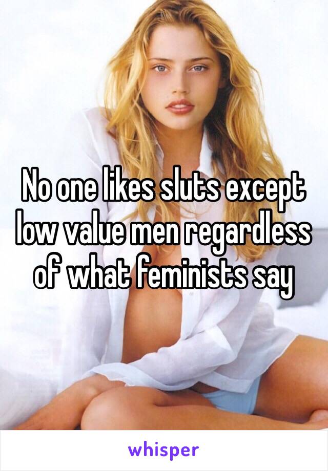 No one likes sluts except low value men regardless of what feminists say