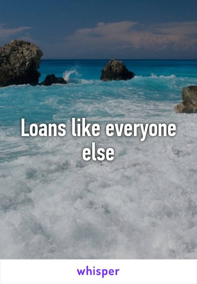 Loans like everyone else