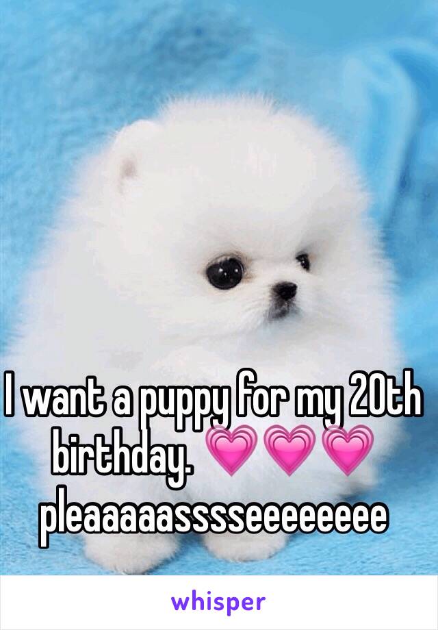 I want a puppy for my 20th birthday. 💗💗💗 pleaaaaasssseeeeeeee