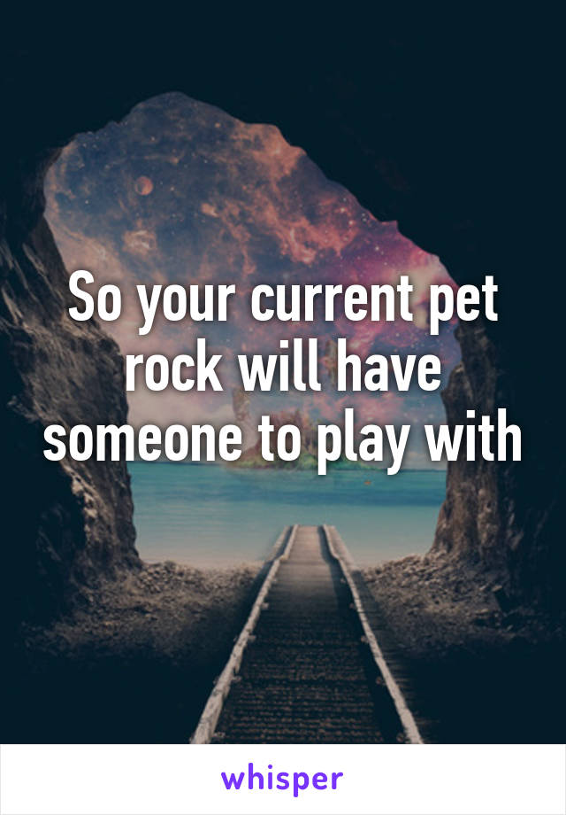 So your current pet rock will have someone to play with 