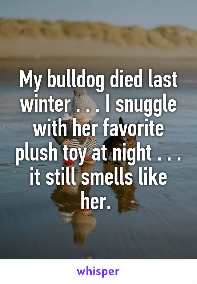 My bulldog died last winter . . . I snuggle with her favorite plush toy at night . . . it still smells like her. 