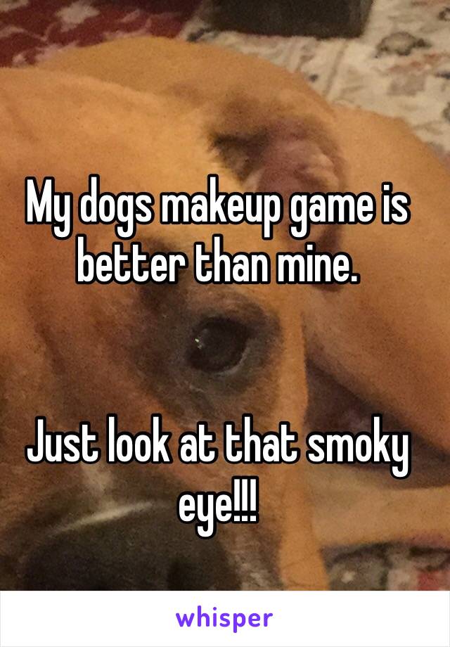 My dogs makeup game is better than mine. 


Just look at that smoky eye!!!