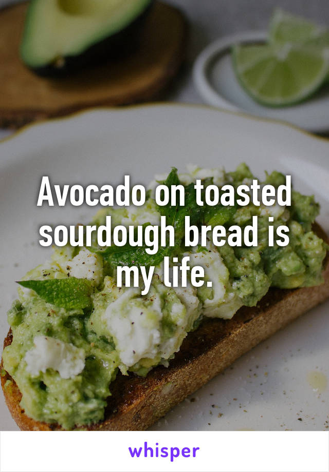 Avocado on toasted sourdough bread is my life.