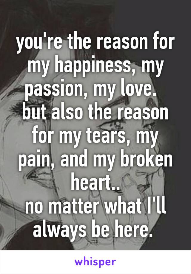 you're the reason for my happiness, my passion, my love.  
but also the reason for my tears, my pain, and my broken heart..
no matter what I'll always be here. 