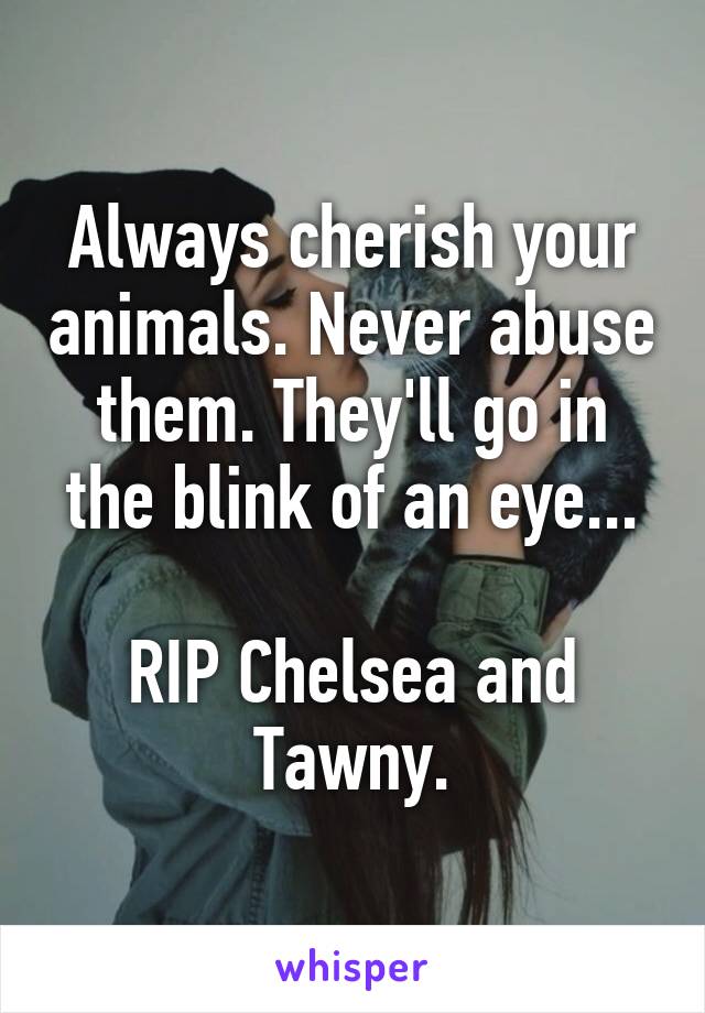 Always cherish your animals. Never abuse them. They'll go in the blink of an eye...

RIP Chelsea and Tawny.