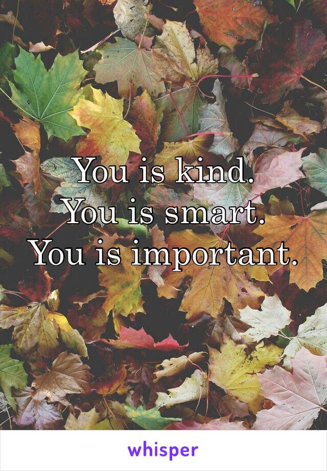 You is kind.
You is smart.
You is important.