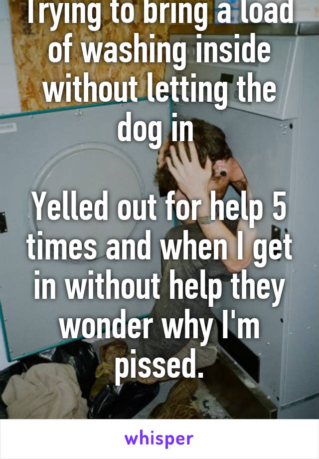 Trying to bring a load of washing inside without letting the dog in 

Yelled out for help 5 times and when I get in without help they wonder why I'm pissed.

 Fucking lazy shits 