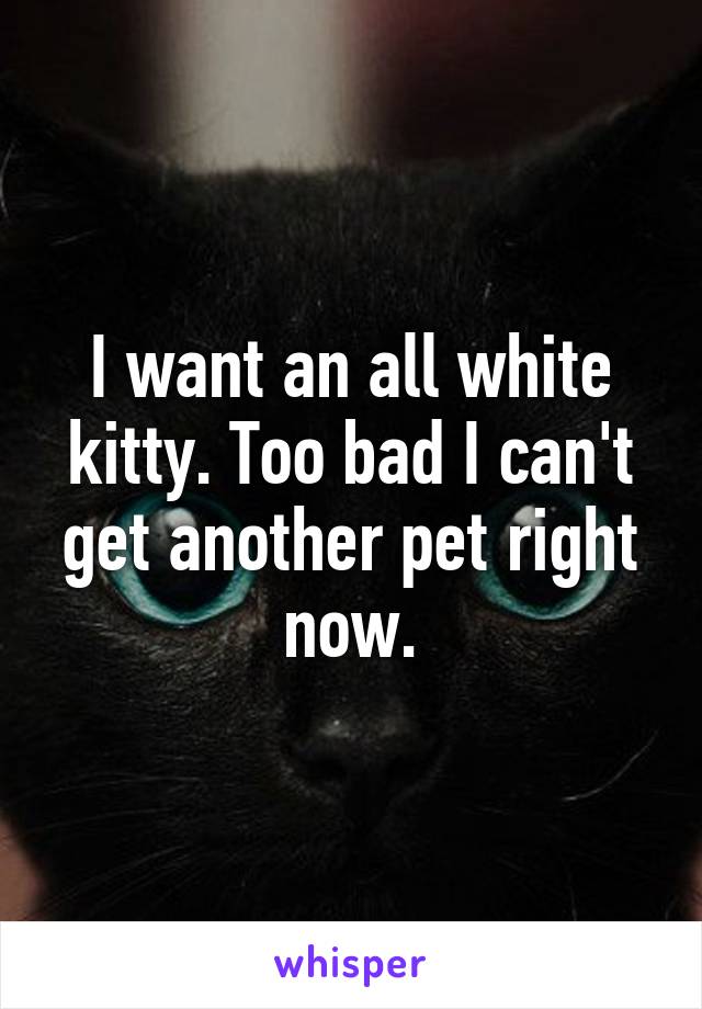 I want an all white kitty. Too bad I can't get another pet right now.