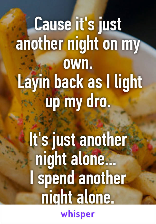 Cause it's just another night on my own.
 Layin back as I light up my dro.

It's just another night alone... 
I spend another night alone.