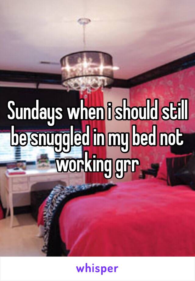 Sundays when i should still be snuggled in my bed not working grr