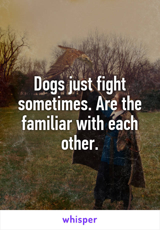 Dogs just fight sometimes. Are the familiar with each other.