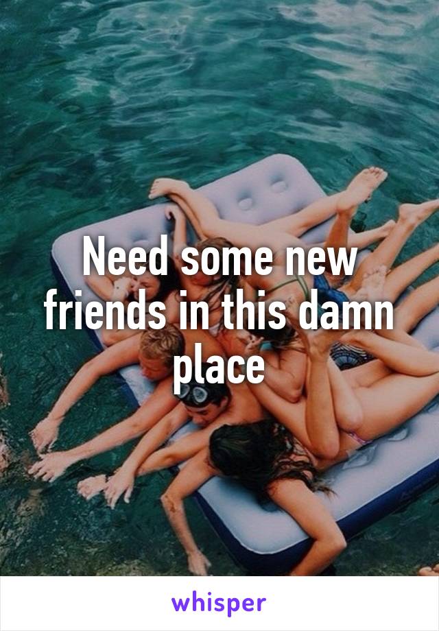 Need some new friends in this damn place