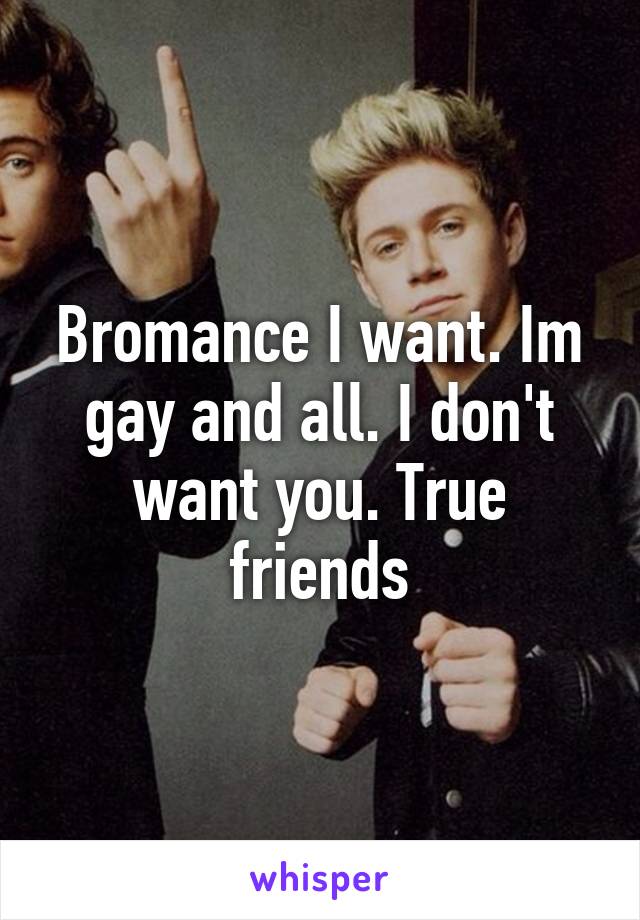 Bromance I want. Im gay and all. I don't want you. True friends