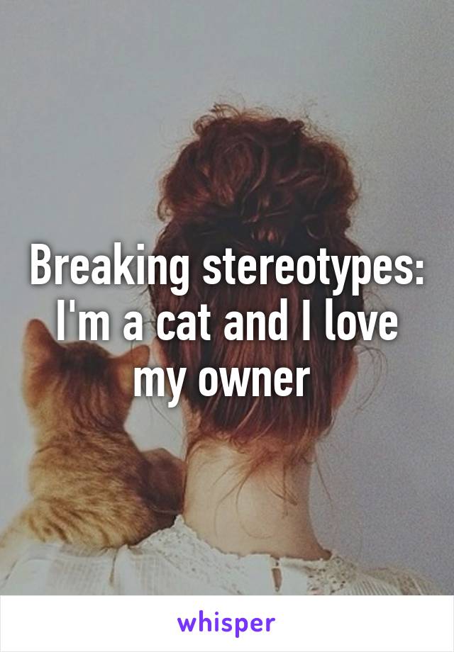 Breaking stereotypes:
I'm a cat and I love my owner 