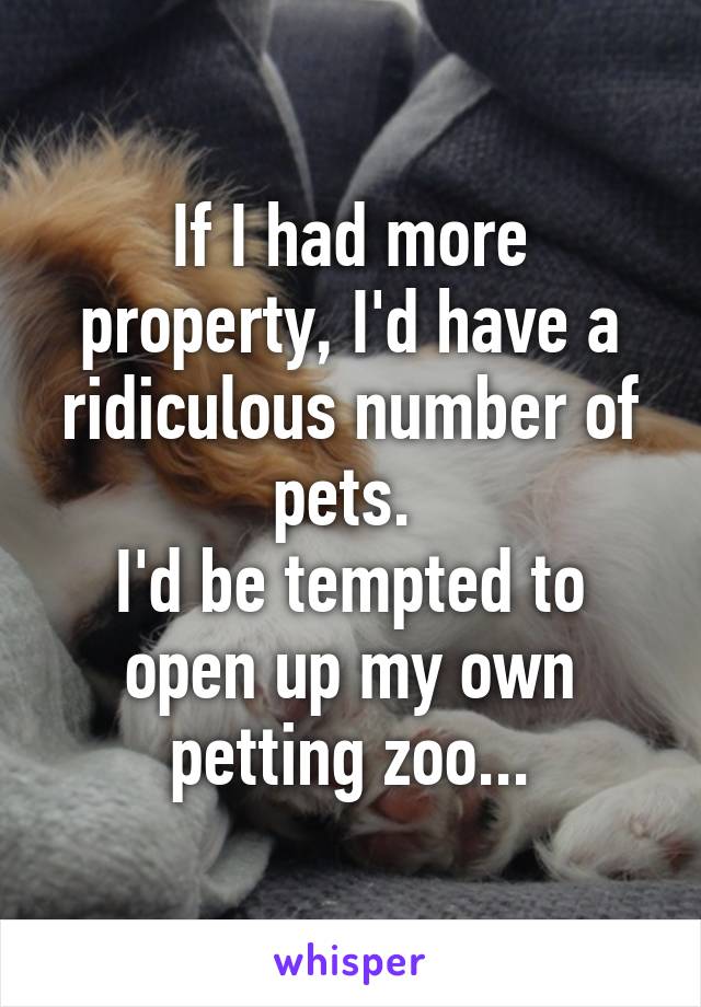 If I had more property, I'd have a ridiculous number of pets. 
I'd be tempted to open up my own petting zoo...