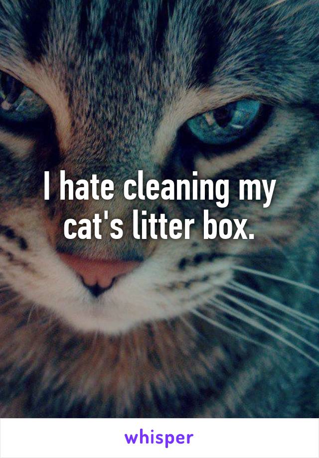 I hate cleaning my cat's litter box.
