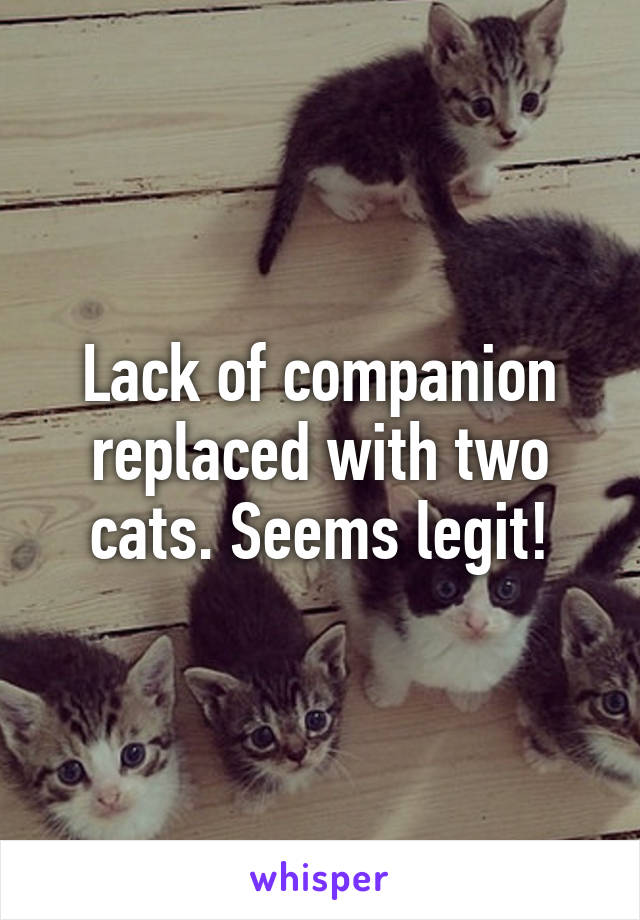 Lack of companion replaced with two cats. Seems legit!