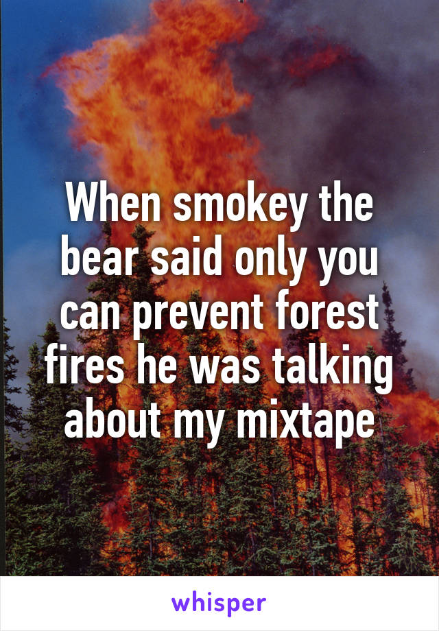 When smokey the bear said only you can prevent forest fires he was talking about my mixtape